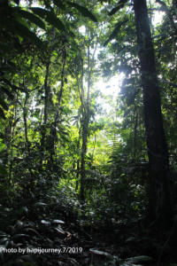 IMG 2278 (1)
