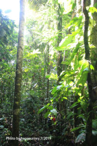 IMG 2280 (1)