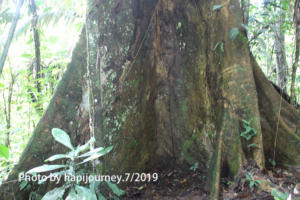 IMG 2281 (1)