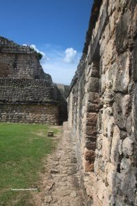 IMG 2288 (1) (1)