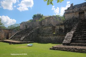 IMG 2295 (1)