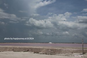 IMG 2333