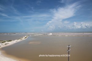 IMG 2335 (1)