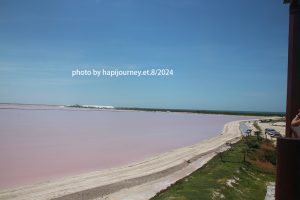 IMG 2340 (1)