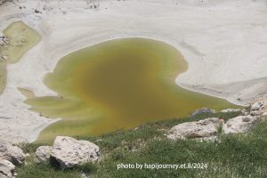 IMG 2341