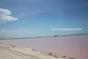 IMG 2350 (1)