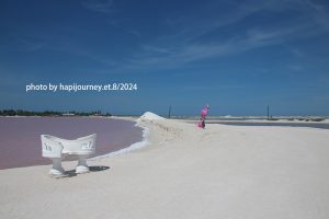IMG 2354 (1)