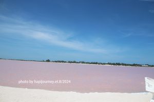 IMG 2356