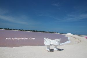 IMG 2357