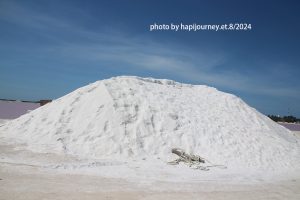 IMG 2360
