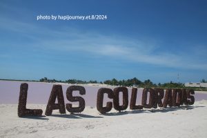 IMG 2372