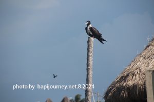 IMG 2373