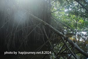 IMG 2426