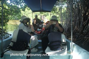 IMG 2429