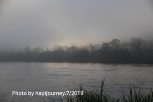 IMG 2445
