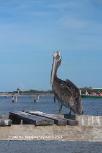 IMG 2451 (1)