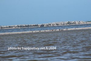 IMG 2467 (1)