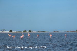 IMG 2469