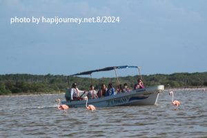 IMG 2470 (1)