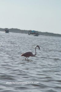 IMG 2473 (1)