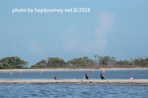 IMG 2474 (1)
