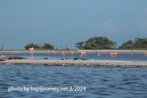 IMG 2475