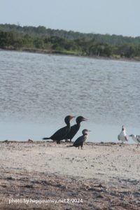 IMG 2481 (1)