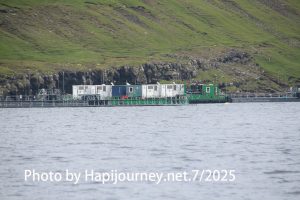 IMG 2581 (1)
