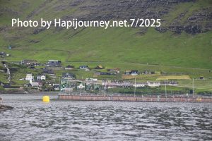 IMG 2591
