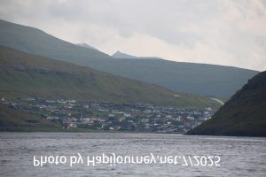 IMG 2593