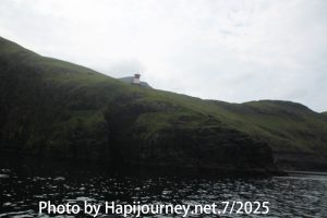 IMG 2594
