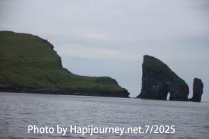 IMG 2595