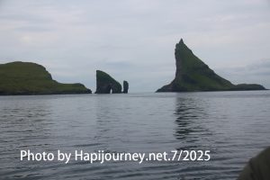 IMG 2599