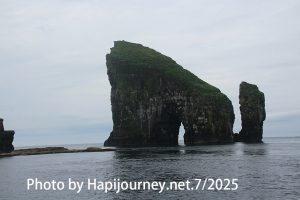 IMG 2605