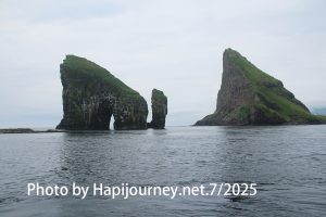 IMG 2606