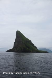 IMG 2608 (1)