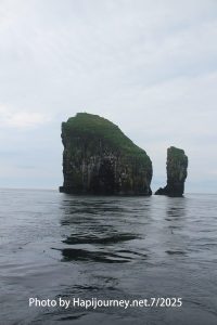 IMG 2612 (1)