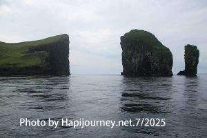 IMG 2615