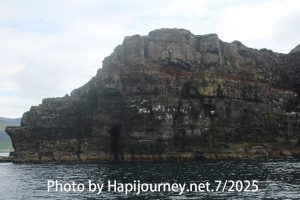 IMG 2625