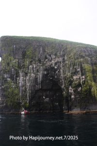 IMG 2641 (1)