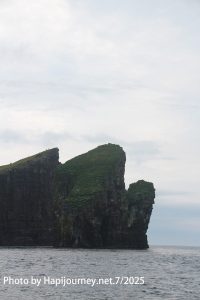 IMG 2644
