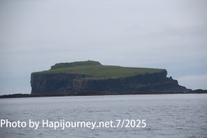 IMG 2655 (1)