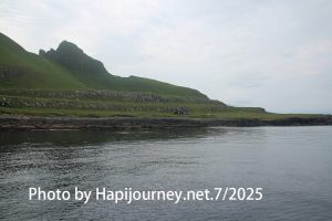 IMG 2663
