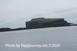 IMG 2664