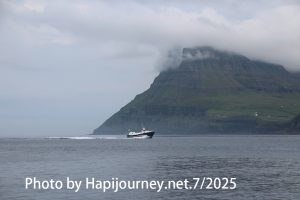 IMG 2670