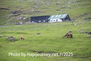 IMG 2686