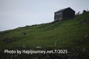 IMG 2688