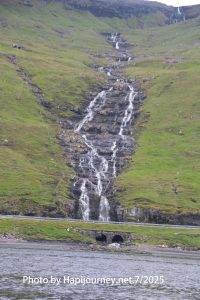 IMG 2704 (1)