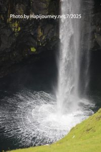 IMG 2710