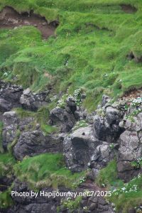 IMG 2714